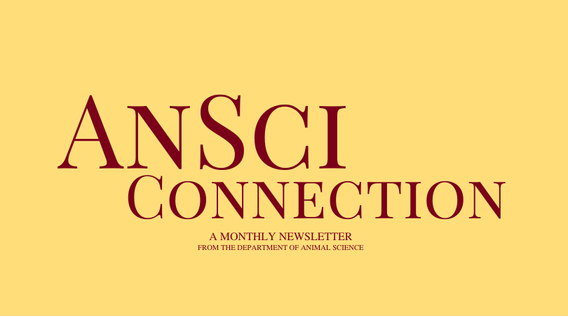 AnSci Connection, a monthly newsletter from the department of animal science.
